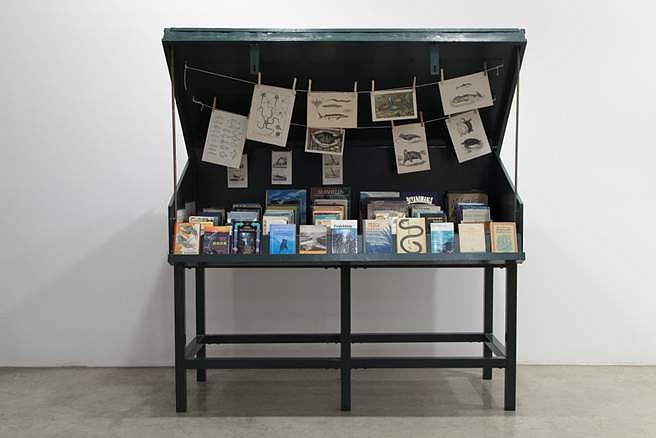 Mark Dion
Sea Life, 2013
Bookstall, books, prints and postcards, 79 x 37 x 74 in.