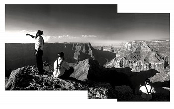 Will Wilson - Auto Immune Response #2