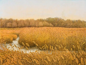 Judy Abbott -&nbsp;Smoke Signals Above Staten Island