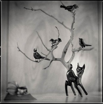 Hiroshi Watanabe -&nbsp;Deer carved by Tokushige, Heart Mountain, Wyoming