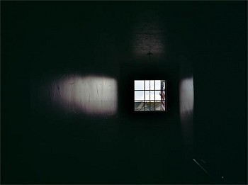 Inbal Abergil -&nbsp;Birdwell