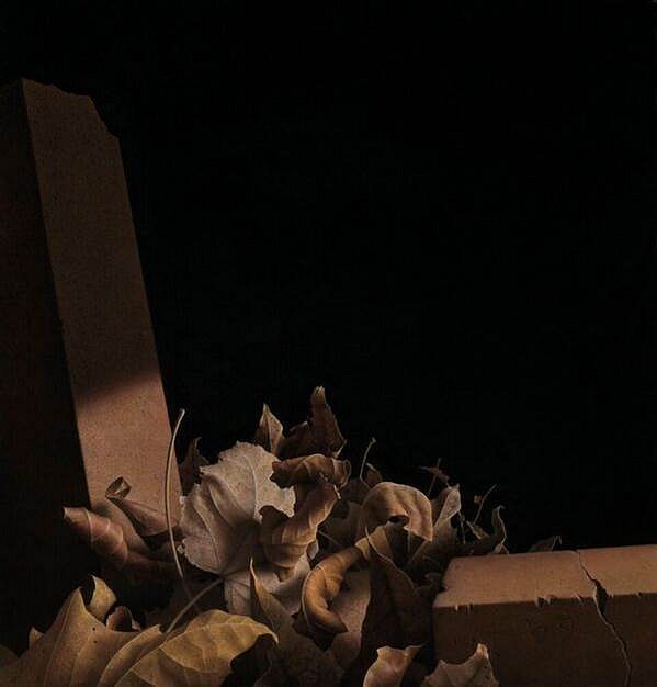 G. Daniel Massad
Breach, 2009
pastel on paper, 16 3/4 x 16 1/2 in.