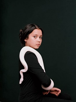 Bettina von Zwehl -&nbsp;From the series Bloodlines, Rosa (Python Regius)