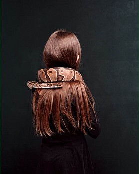 Bettina von Zwehl -&nbsp;From the series Bloodlines, Clemmie (Pituophis catenifer sayi)