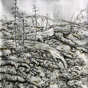 Lawrence Baker -&nbsp;Professed Love