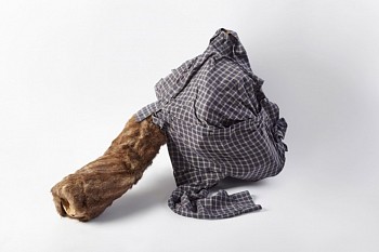 Ariadna Pastorini - The Equilibrium