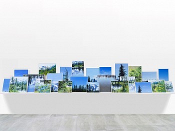 Cynthia Daignault -&nbsp;Picture Lake