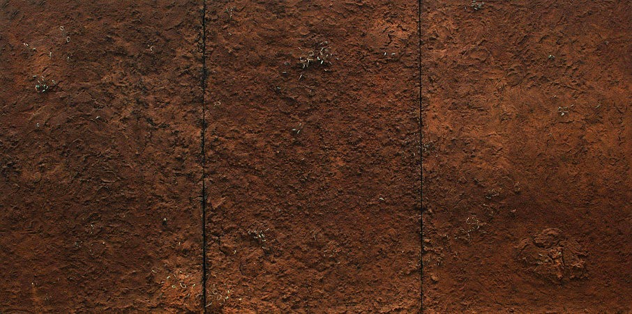 Poorvesh Patel
Sprouts, 2012
iron/saw dust, resin, patinated copper/brass wire canvas mounted on Board (triptych), 72 x 144 in.