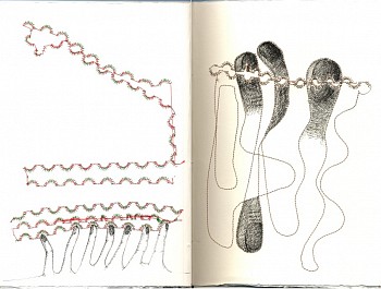 Elena Berriolo -&nbsp;La Notte