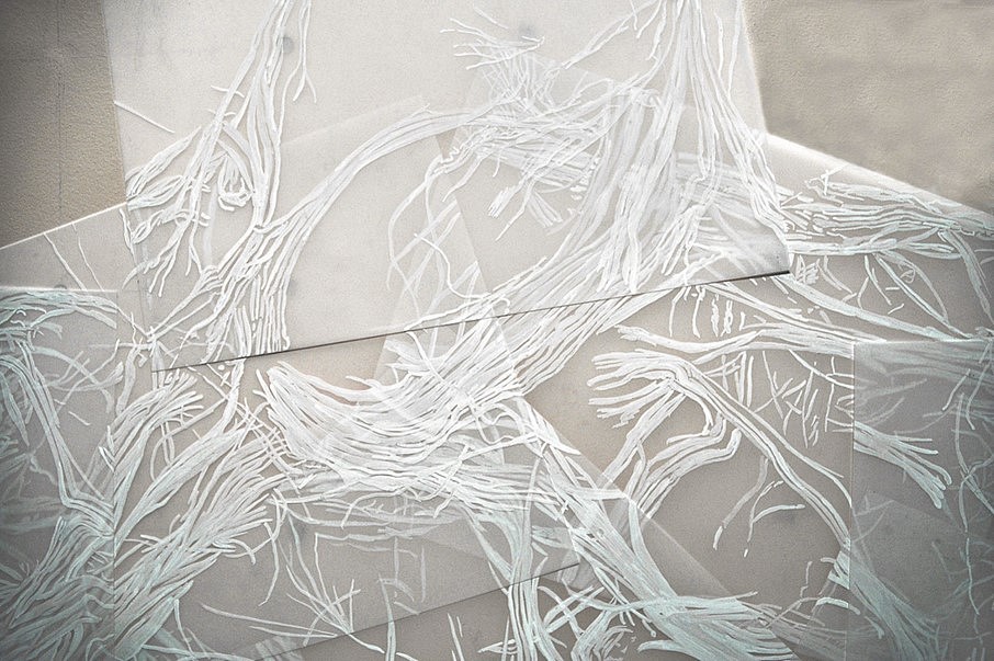 Cristina de Gennaro
Sage Drawing V, Detail, 2014
acrylic ink on mylar, 43 x 41 in.