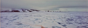 Stuart Klipper -&nbsp;Two polar bears, Austrian Channel. Wilczek Island, Franz Josef Land