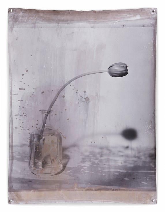 Jeff Cowen
Nature Morte 1, 2010
silver gelatin print, 31 x 24 in.