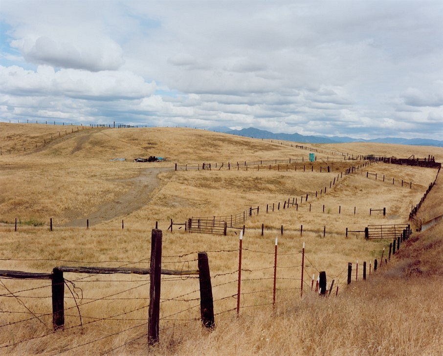 Sharon Lockhart
Cattle Ranch, Tulare County, California, 2011
framed chromogenic print, 12 1/8 x 15 1/4 in.
