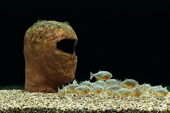 Ruth Beraha -&nbsp;Us (Self-Portrait)