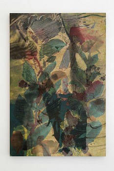 Alison Goodyear -&nbsp;Akraenkaffina