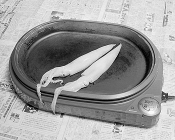 Fumi Ishino -&nbsp;Untitled (Rowing a Tetrapod)