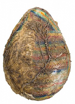 Pedro Wirz -&nbsp;Ovo por Olho