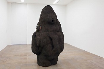 Pedro Wirz -&nbsp;My home is my dinner