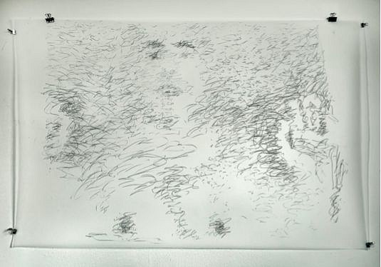 Avram Finkelstein
The Bath, 2022
graphite on matte acetate, 63 x 40 in.