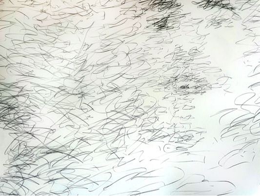 Avram Finkelstein
The Bath (detail), 2022
graphite on matte acetate, 63 x 40 in.