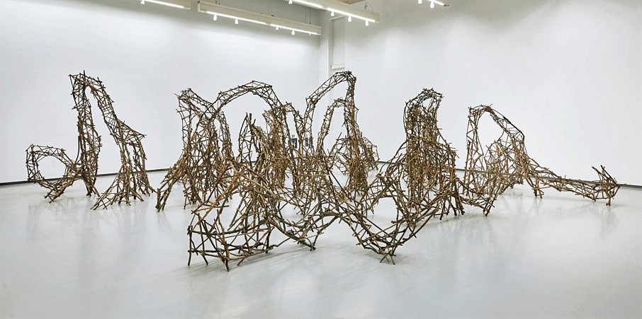 Camilo Guinot
Constructive Drift, 2022
pruning branches and wooden dowels, 620 x 580 x 195 in.