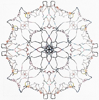 Inka Nowoitnick - Holy Tree/Ornament N º 3 (colorlines)