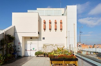 Elena Alonso -&nbsp;Al cuidado de las peque&ntilde;as sombras (in the care of the small shadows)