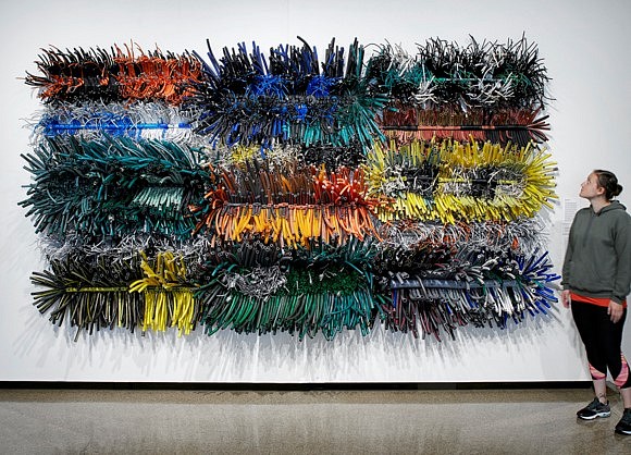 Michelle Stitzlein
Grevillea Fringe, 2015
repurposed materials: old garden hose, electrical wires, computer cables, coaxial wires, miscellaneous plastic, etc., 7 feet high x 13 feet wide x 16 inches deep